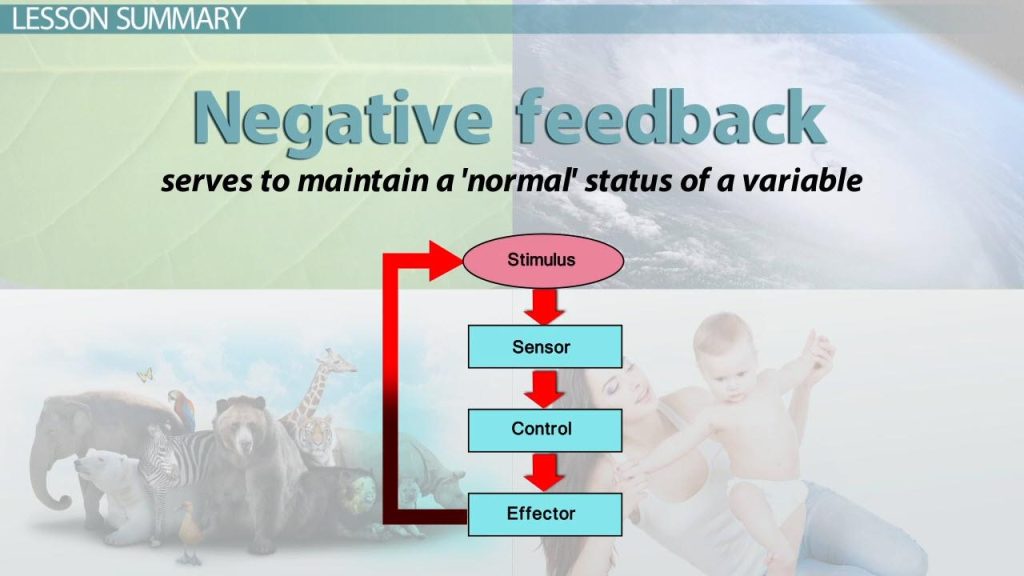 Mastering Negative Feedback: Navigating Social Media Comments Mastering Negative Feedback: Navigating Social Media Comments
